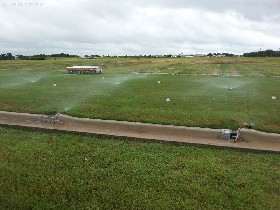 LIRMS prototypes being tested at the Texas A&M Department of Soil and Crop Sciences Urban Landscape Runoff Facility. 